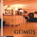 호텔 Gumus 보즈자아다