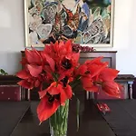 Gumus 보즈자아다