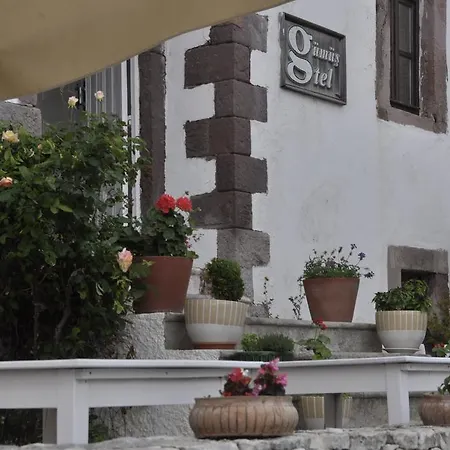 Gumus Hotel