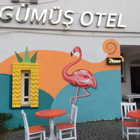 Gumus 호텔 *