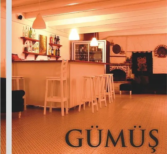 호텔 Gumus 보즈자아다