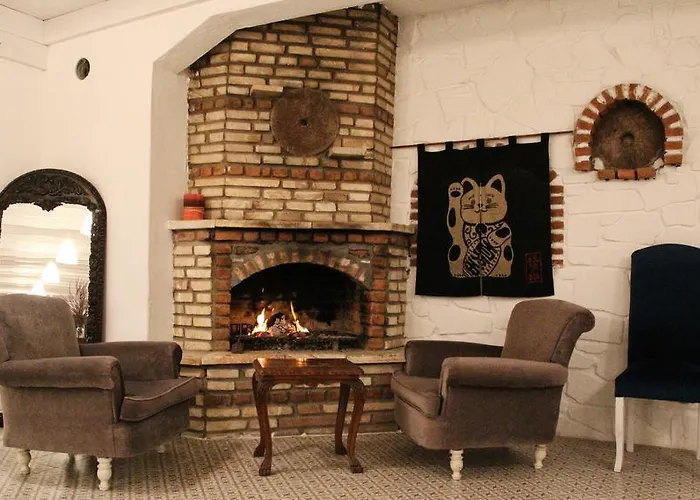 호텔 Gumus 보즈자아다