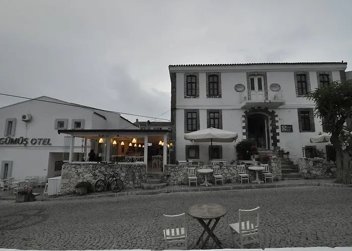 호텔 Gumus 보즈자아다