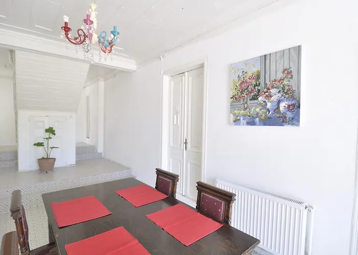 호텔 Gumus 보즈자아다