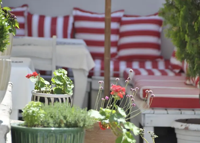 Gumus 호텔 보즈자아다