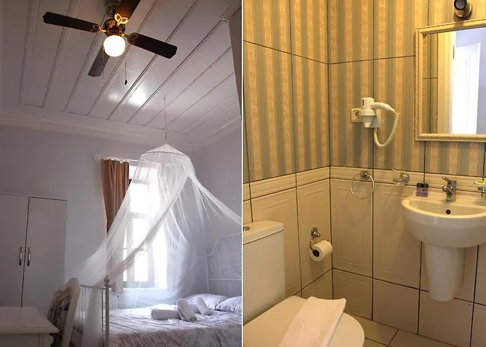 Gumus 보즈자아다