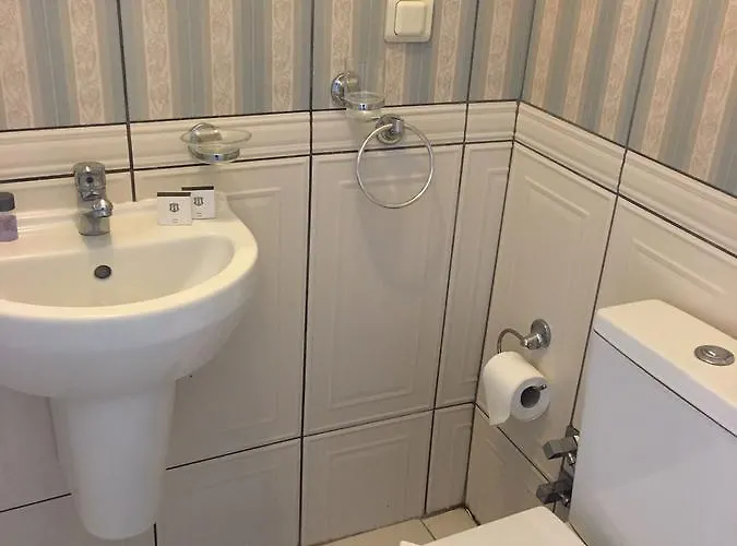 Gumus 호텔 보즈자아다