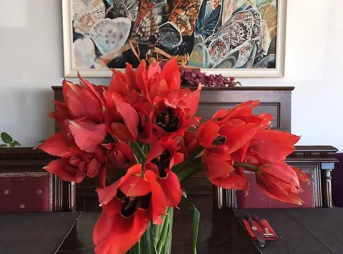 Gumus 보즈자아다