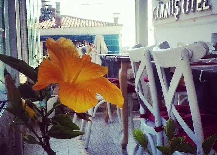 호텔 Gumus 보즈자아다