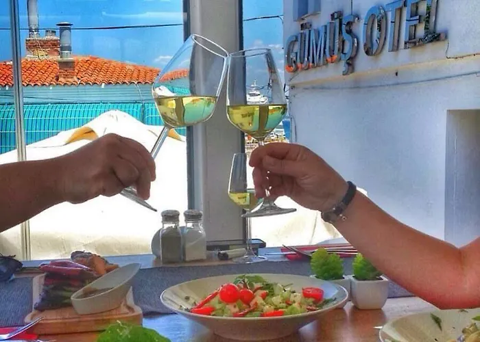 호텔 Gumus 보즈자아다